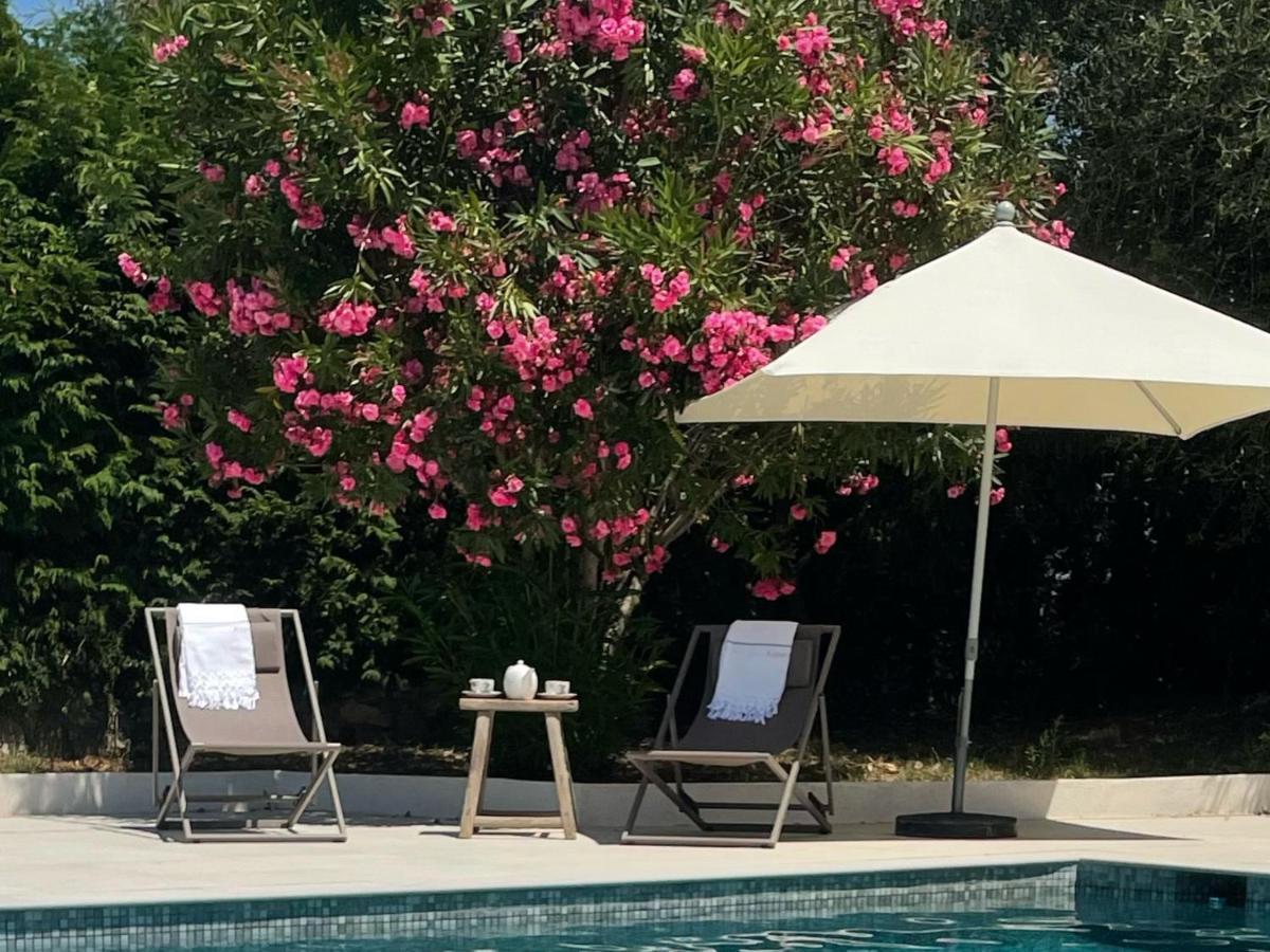 Villa La Carpenee โรกฟอร์-เลส์-แปงส์ ภายนอก รูปภาพ